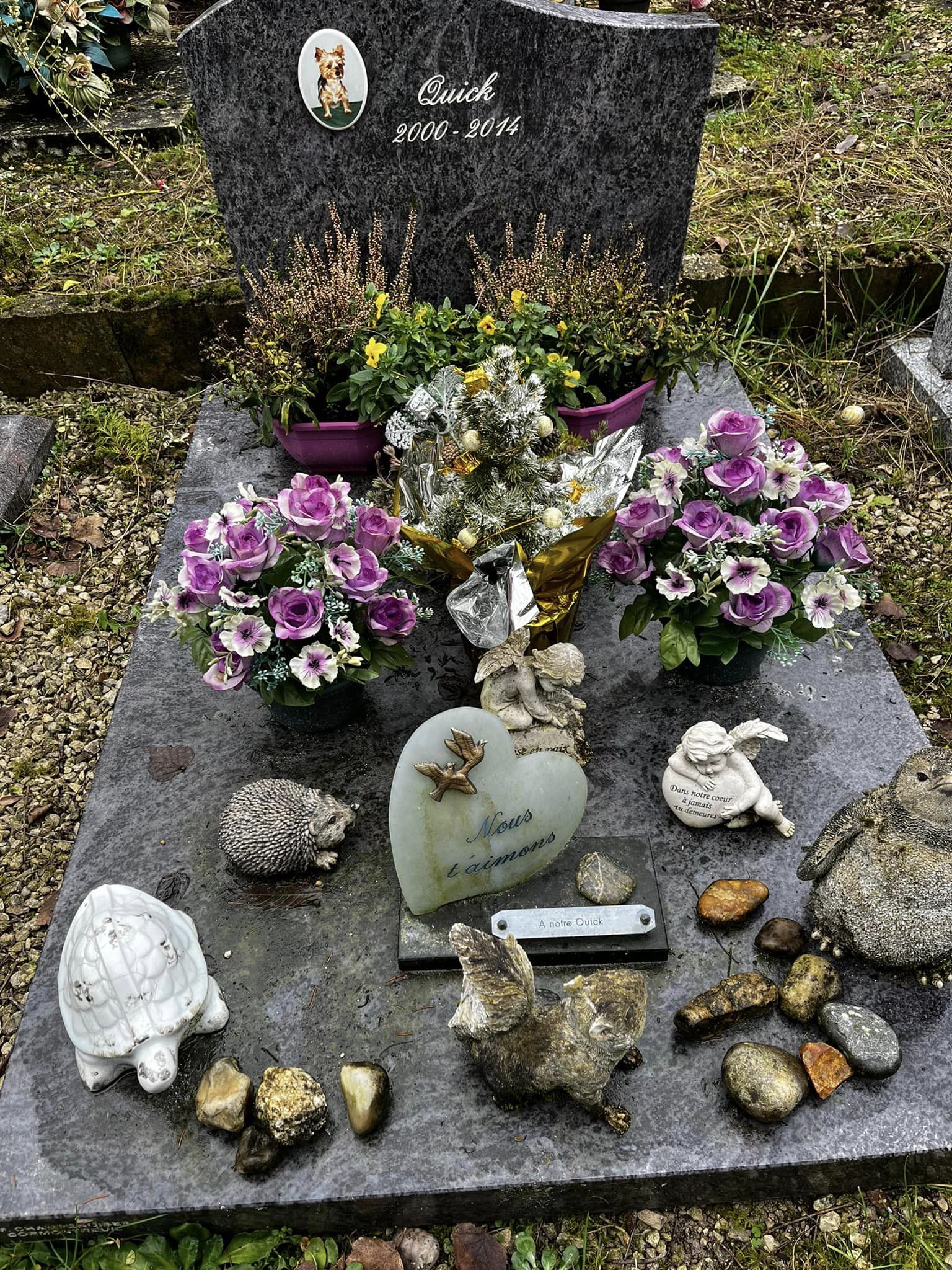 Miniature de la galerie