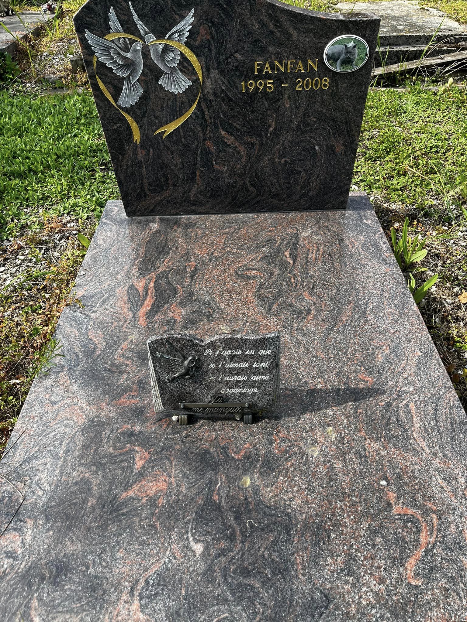 Miniature de la galerie