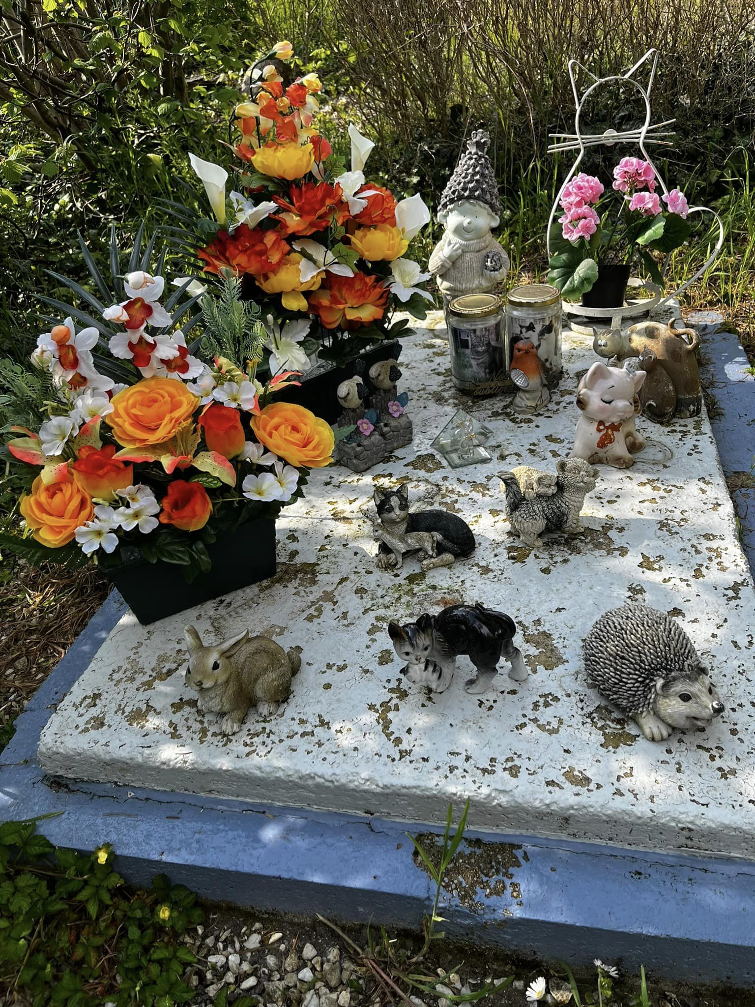 Miniature de la galerie