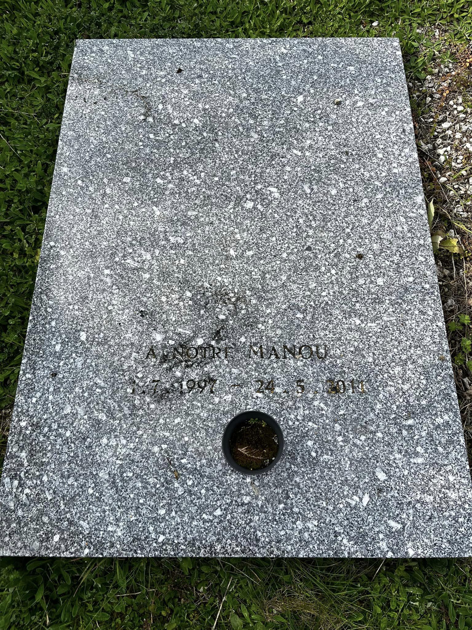 Miniature de la galerie