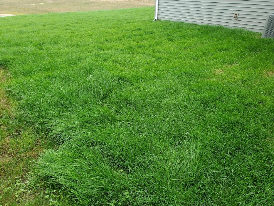 S&H Landscaping - Fort Wayne, IN