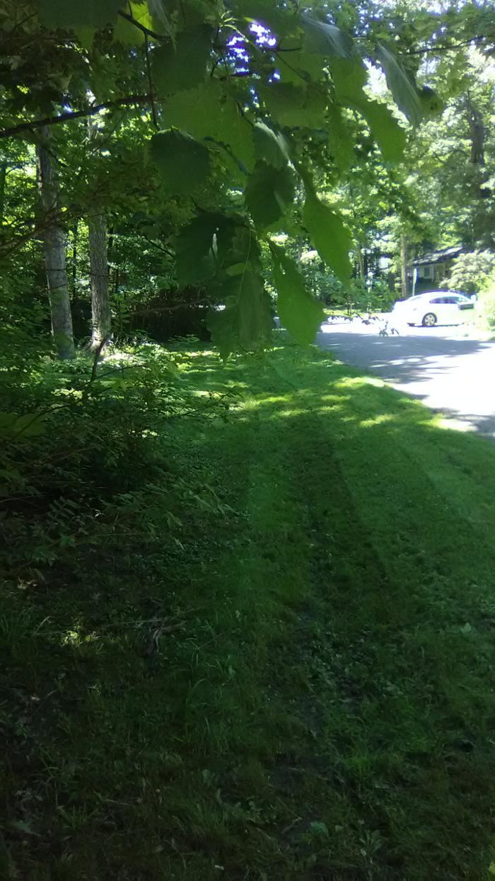 S&H Landscaping - Fort Wayne, IN