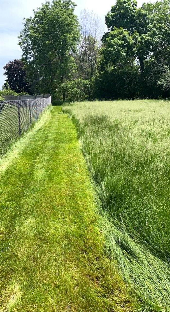 Ziggy's Snow and Landscape - Fort Atkinson, WI