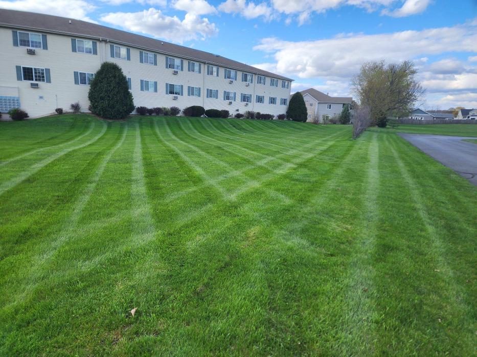Ziggy's Snow and Landscape - Fort Atkinson, WI