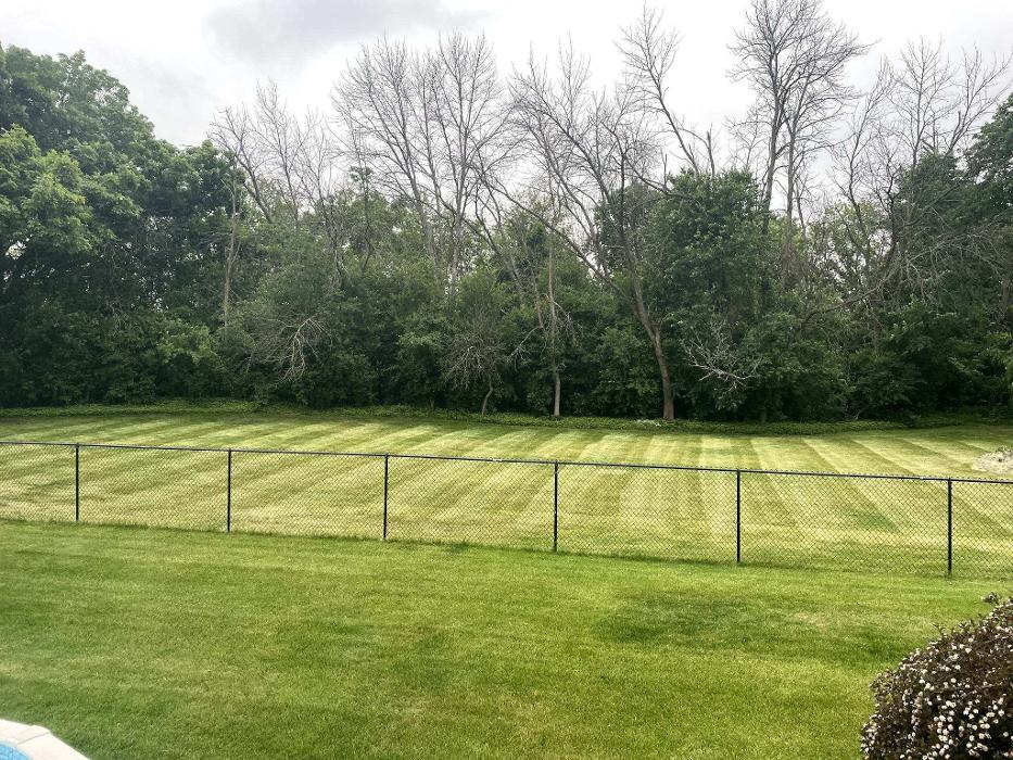 Ziggy's Snow and Landscape - Fort Atkinson, WI