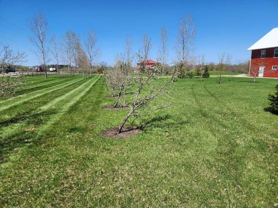 Ziggy's Snow and Landscape - Fort Atkinson, WI
