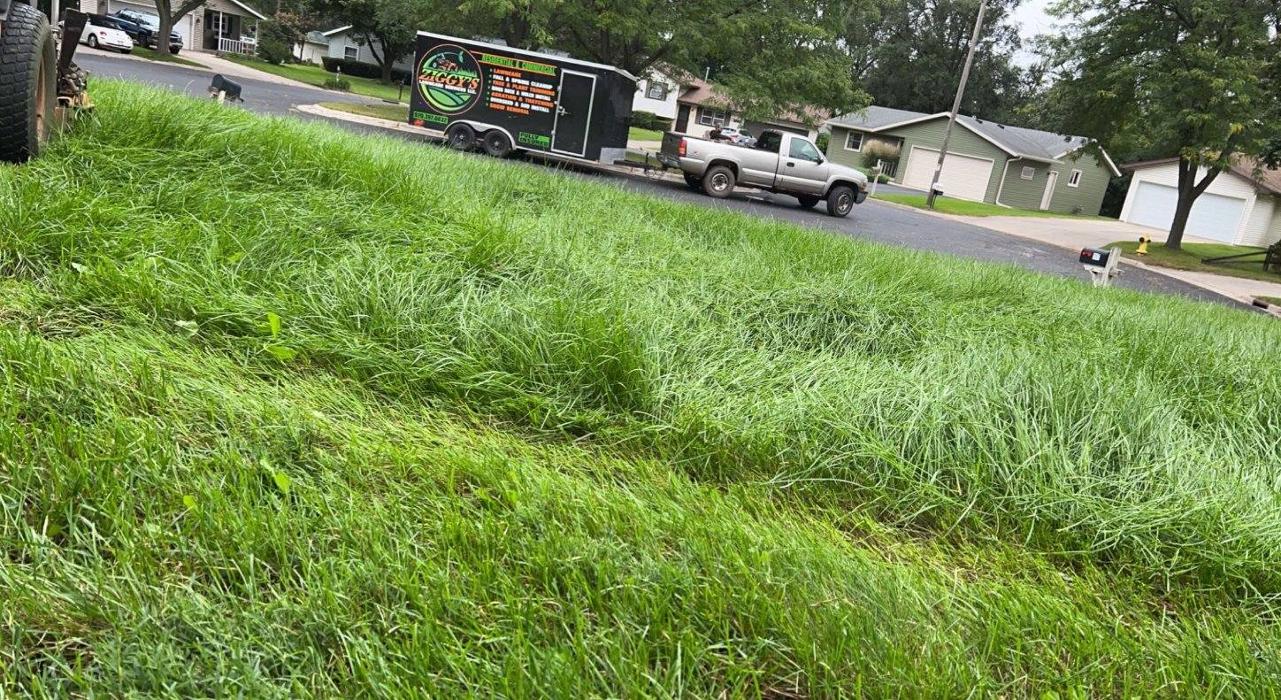 Ziggy's Snow and Landscape - Fort Atkinson, WI