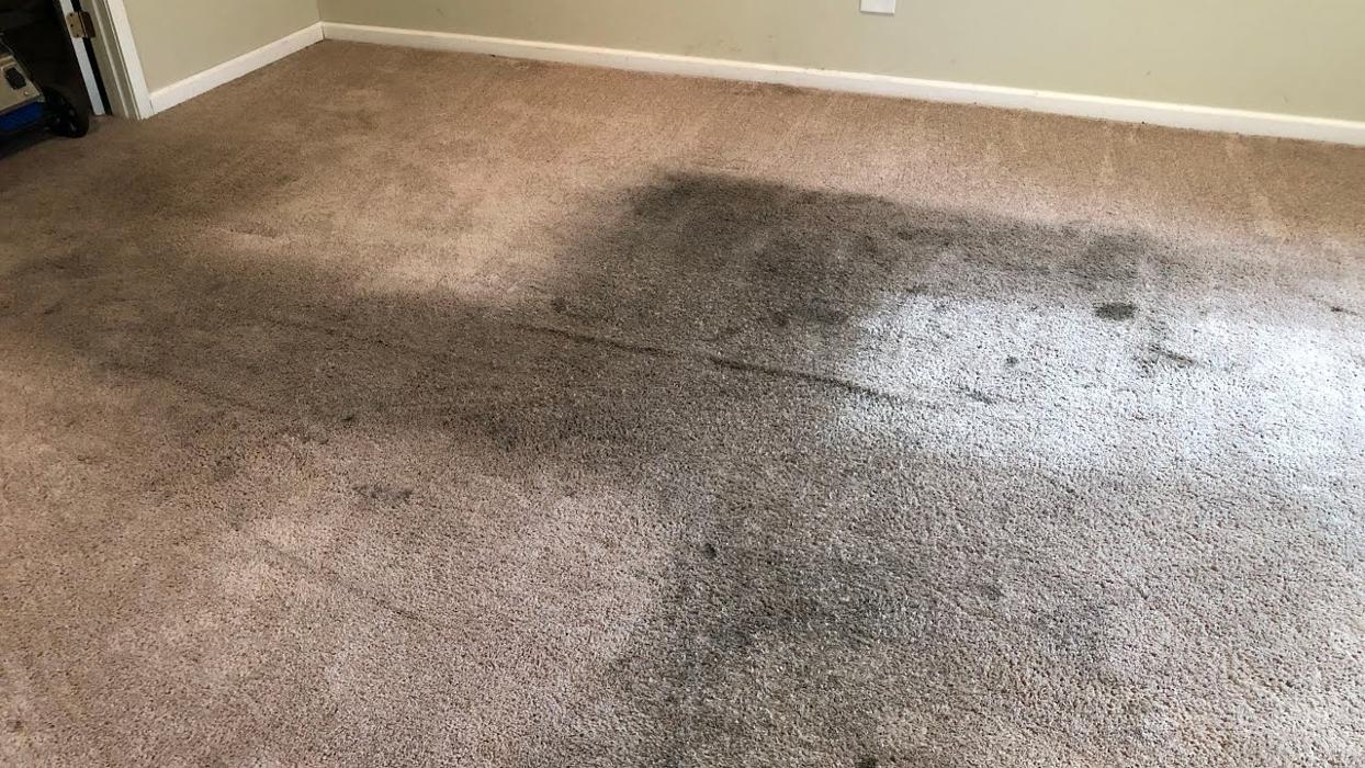 AZ Same Day Service Carpet Care - Scottsdale, AZ