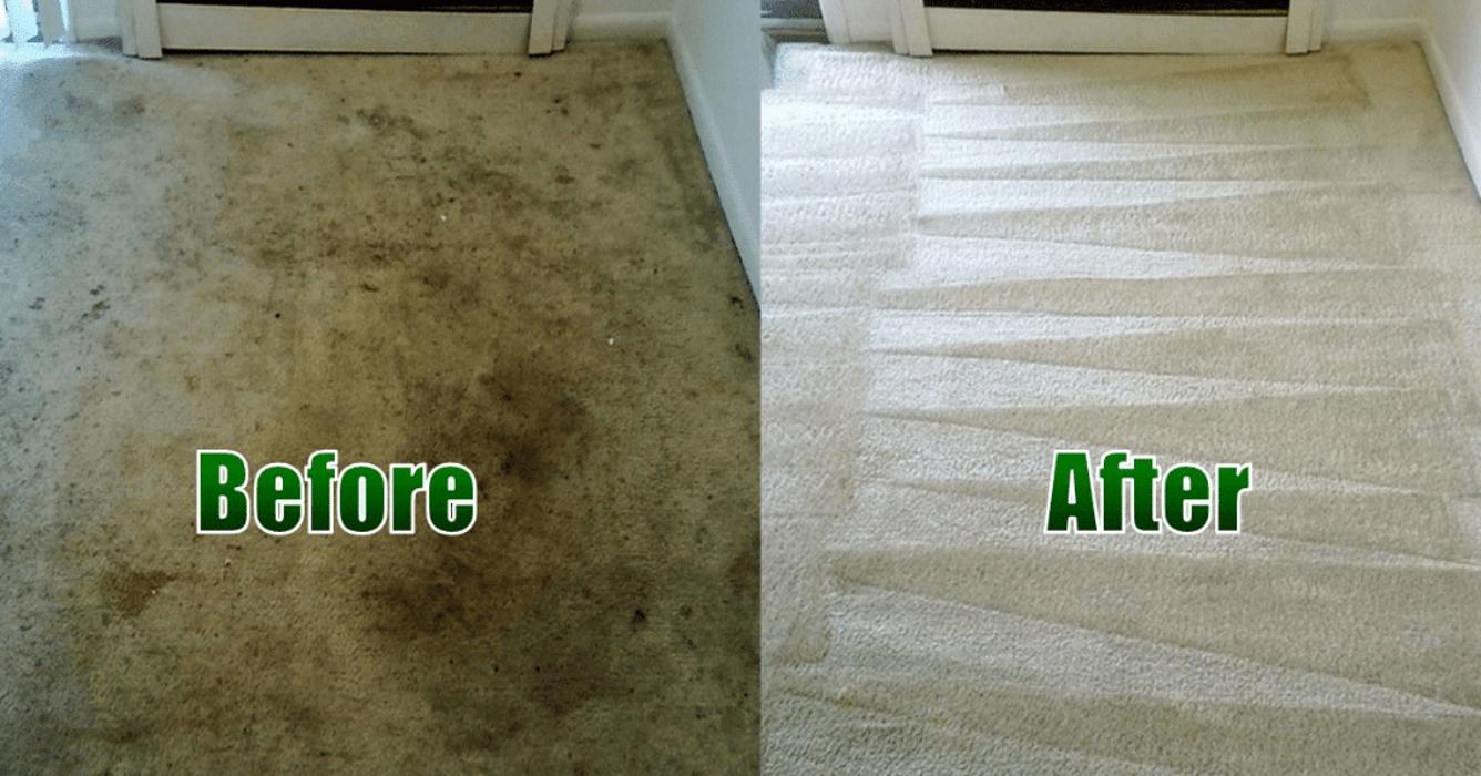 AZ Same Day Service Carpet Care - Scottsdale, AZ