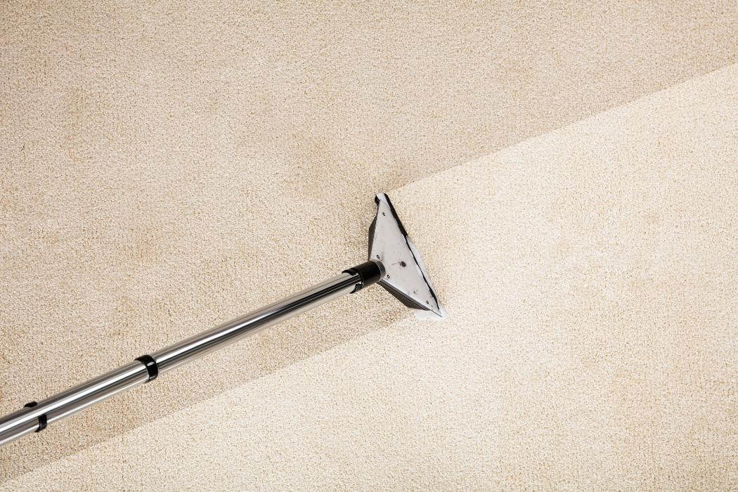 AZ Same Day Service Carpet Care - Scottsdale, AZ