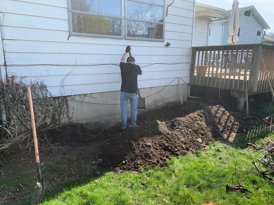 Advanced Wildlife Removal of NY, LLC - Middletown, NY