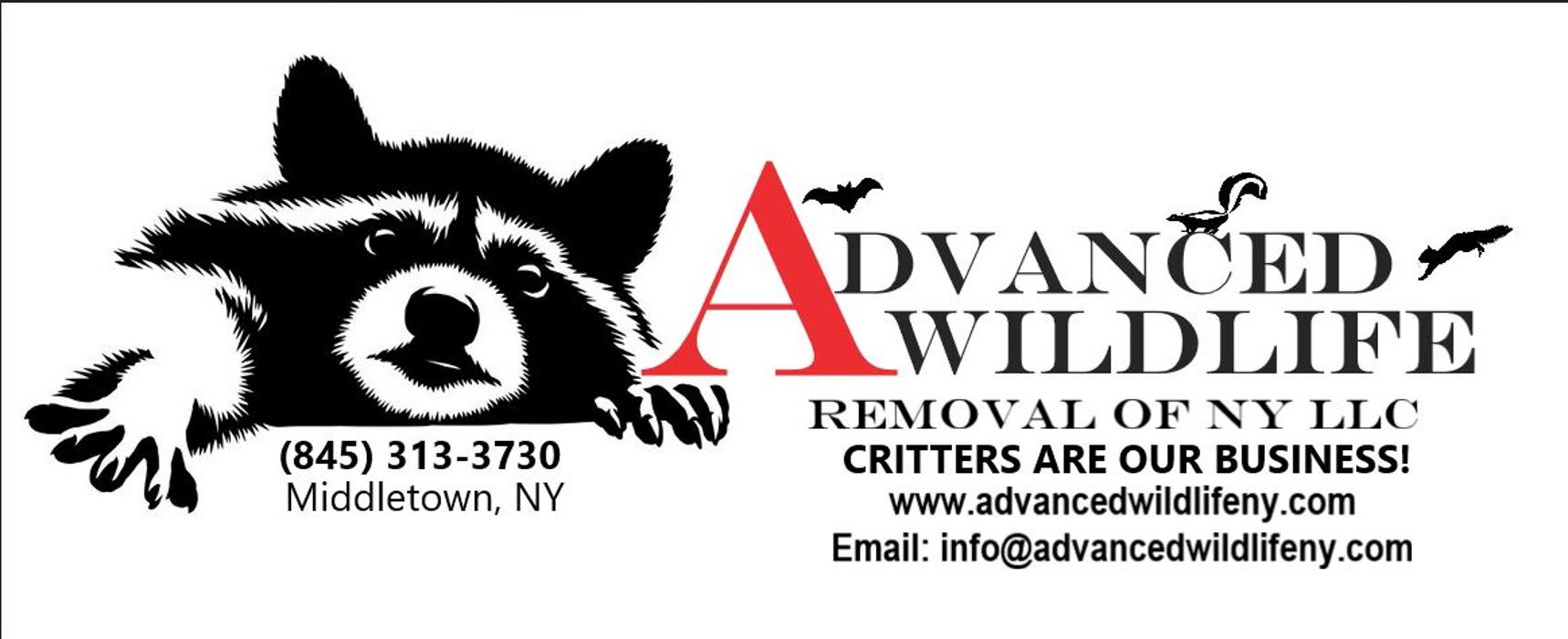 Advanced Wildlife Removal of NY, LLC - Middletown, NY