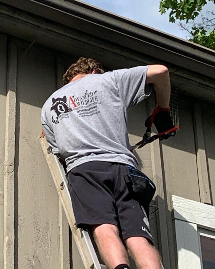 Advanced Wildlife Removal of NY, LLC - Middletown, NY