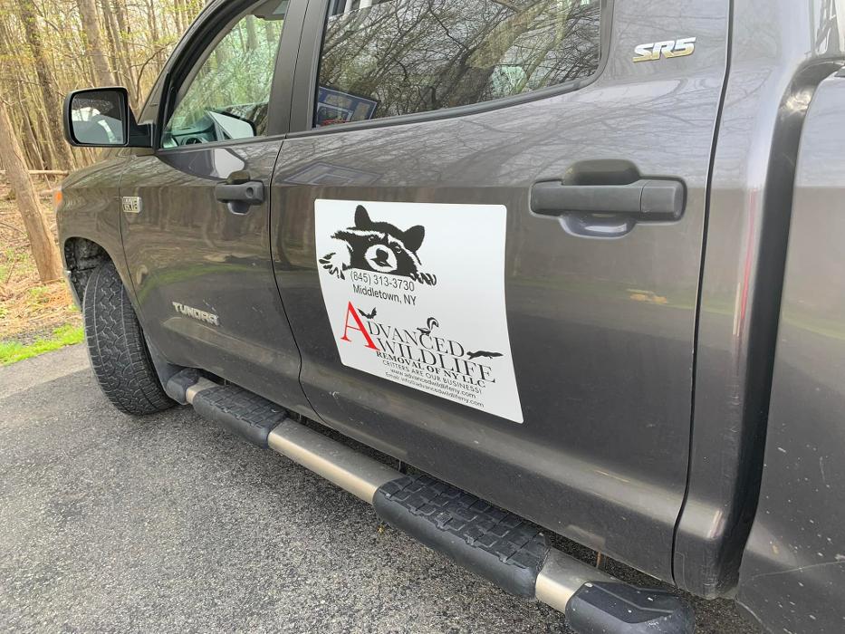 Advanced Wildlife Removal of NY, LLC - Middletown, NY