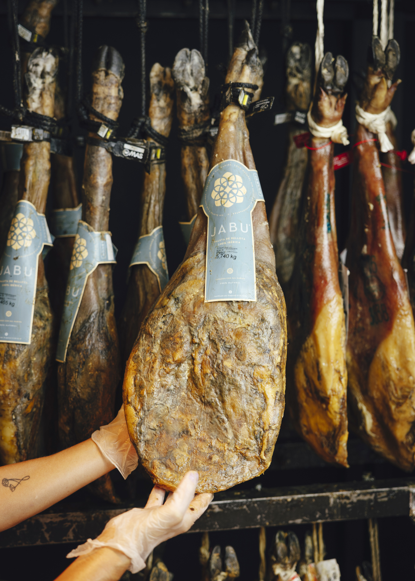 Galería en miniatura