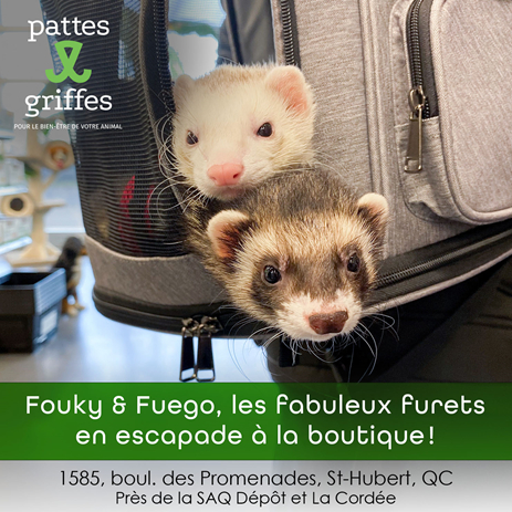 Pattes Et Griffes Saint-Hubert Saint-Hubert (450)812-8812