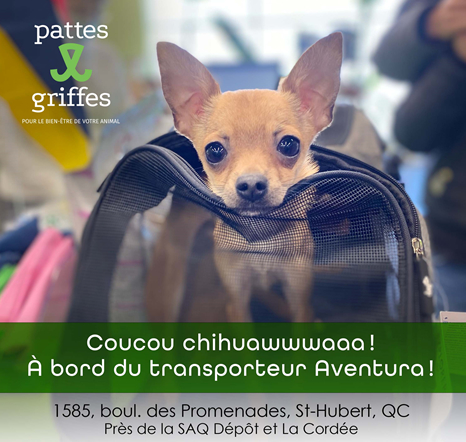 Pattes Et Griffes Saint-Hubert Saint-Hubert (450)812-8812