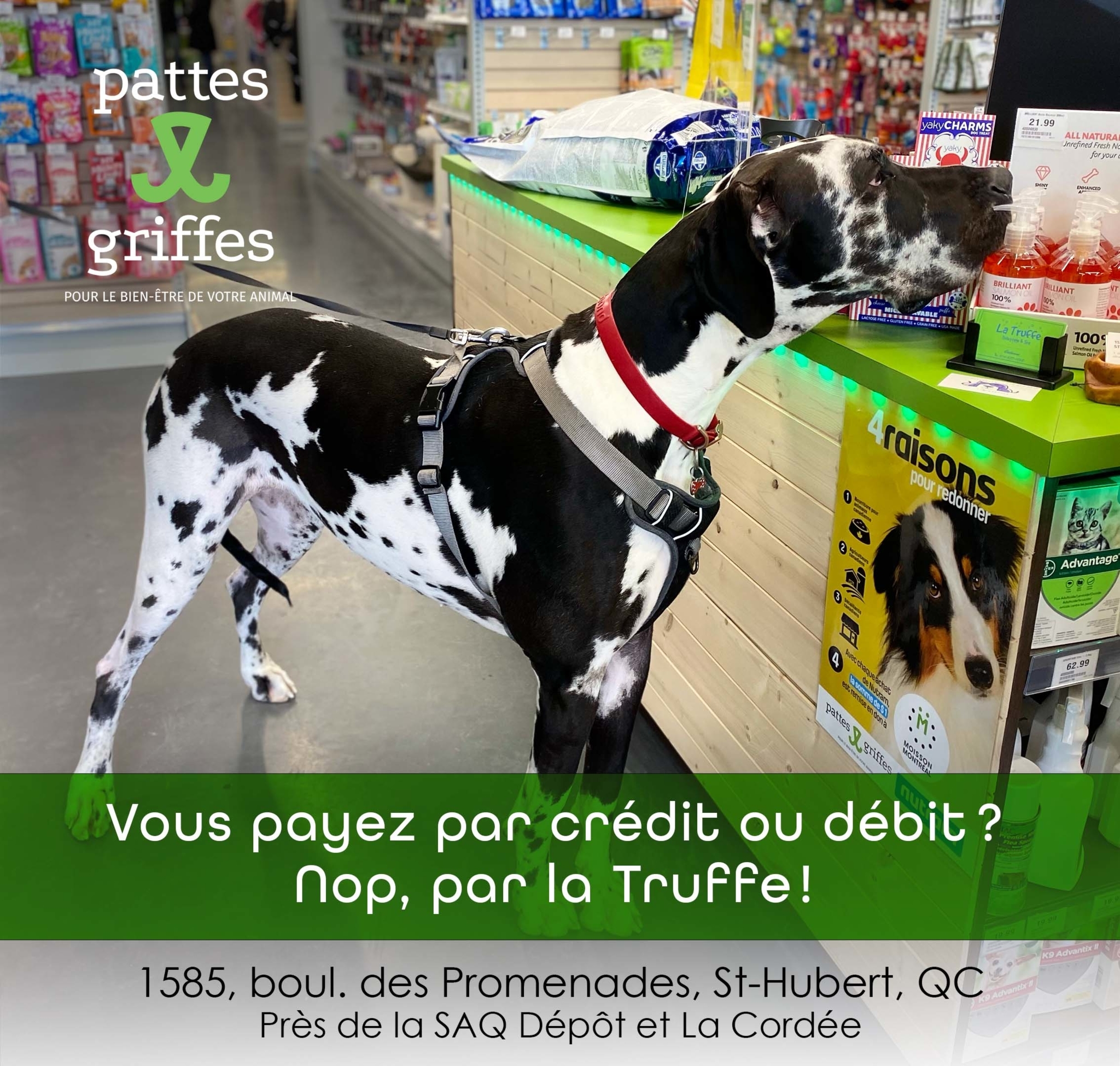 Pattes Et Griffes Saint-Hubert Saint-Hubert (450)812-8812