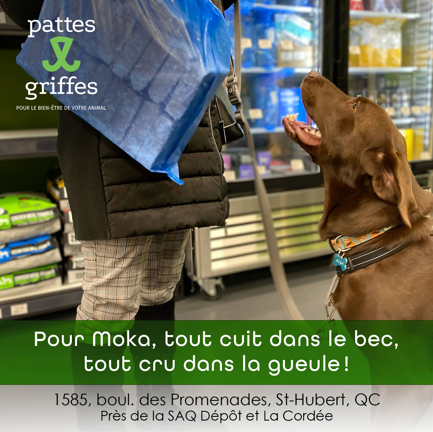 Pattes Et Griffes Saint-Hubert Saint-Hubert (450)812-8812