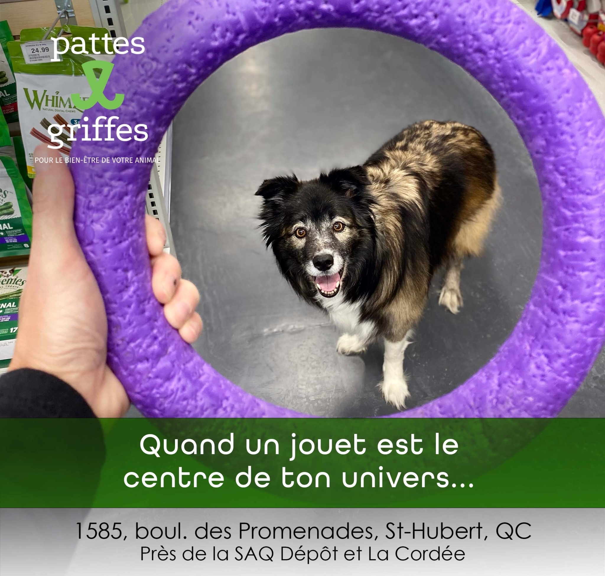 Pattes Et Griffes Saint-Hubert Saint-Hubert (450)812-8812