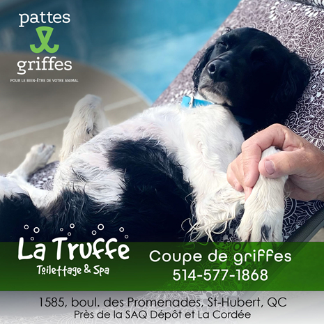 Pattes Et Griffes Saint-Hubert Saint-Hubert (450)812-8812