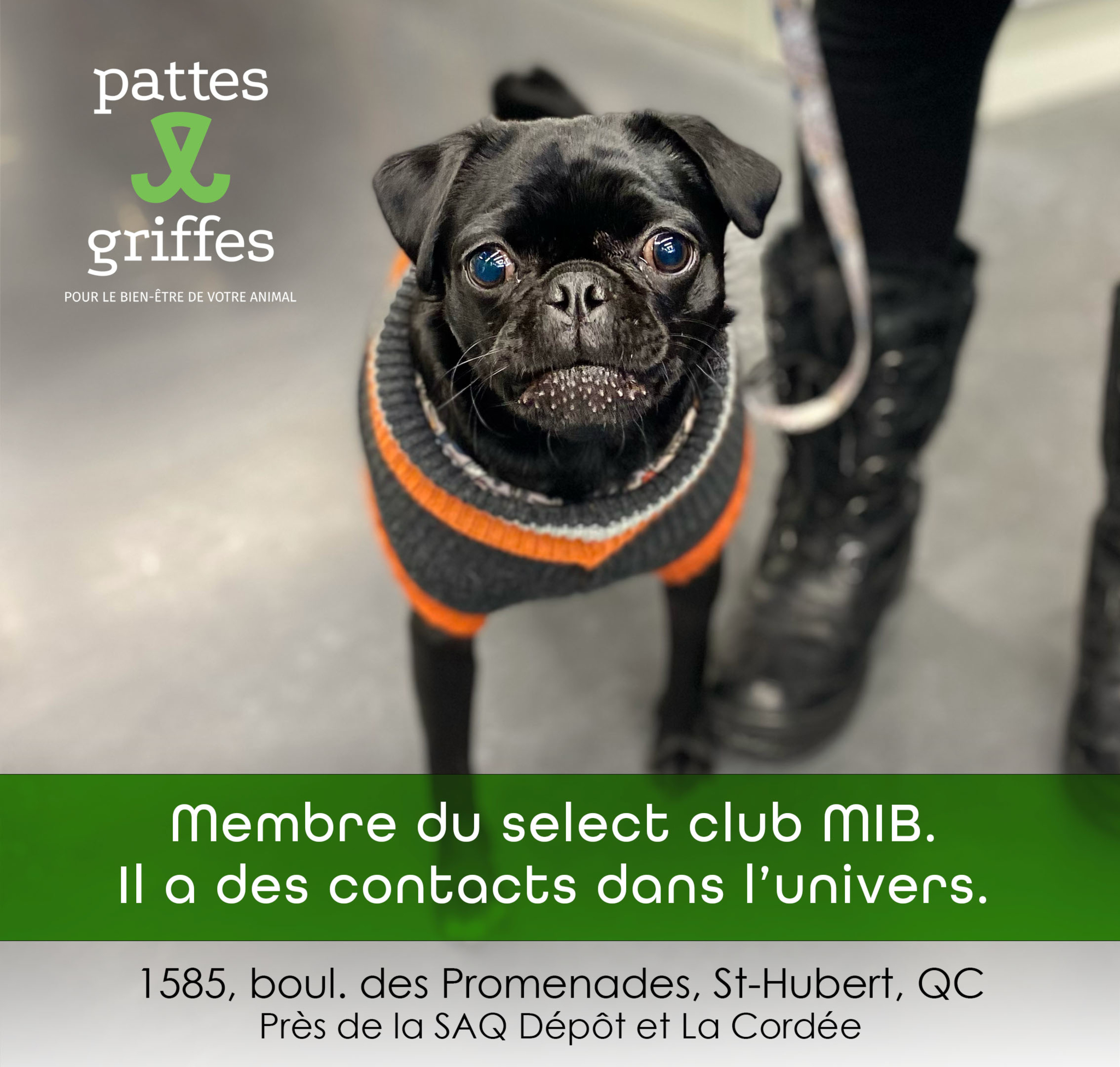 Pattes Et Griffes Saint-Hubert Saint-Hubert (450)812-8812