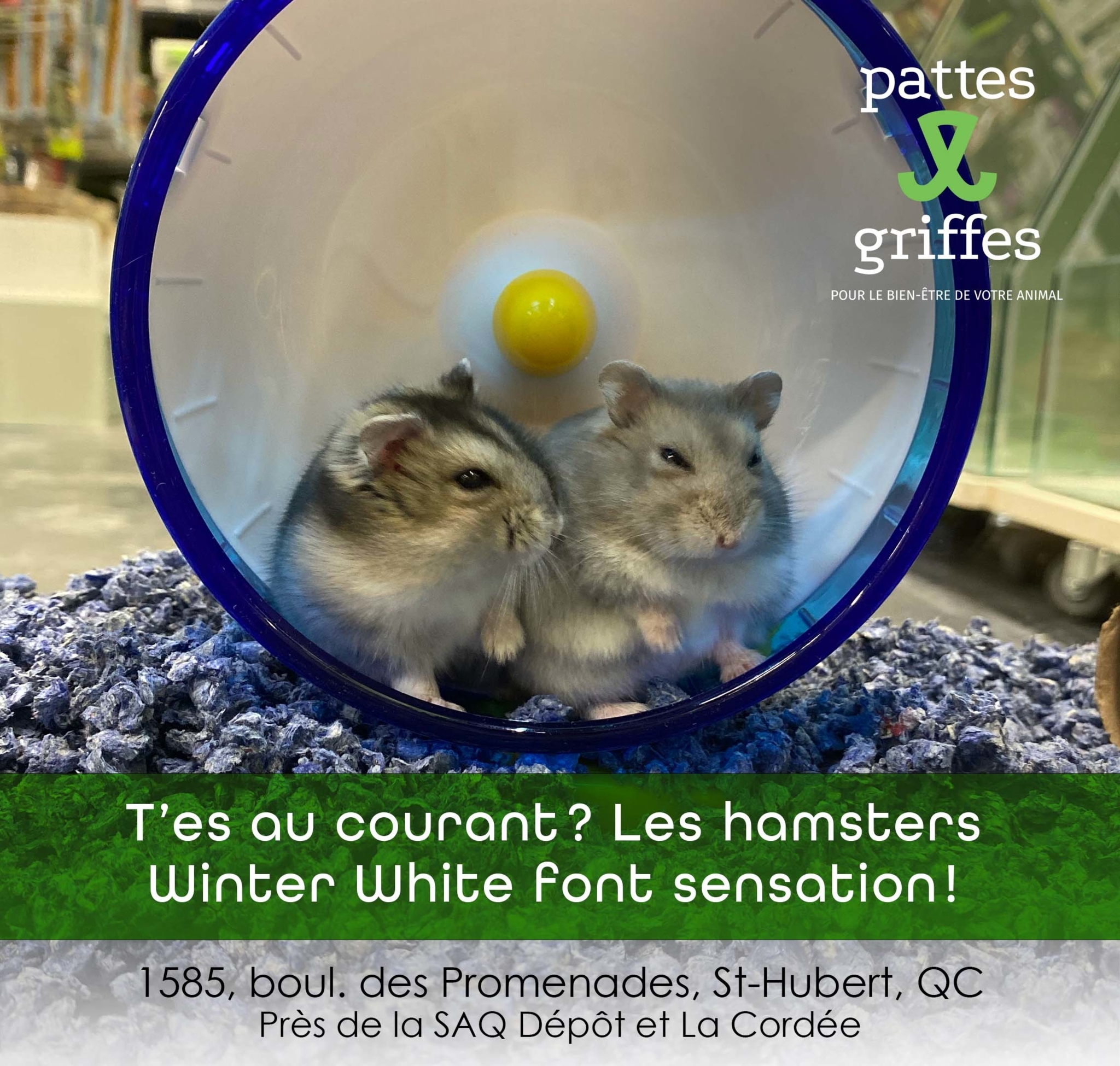 Pattes Et Griffes Saint-Hubert Saint-Hubert (450)812-8812