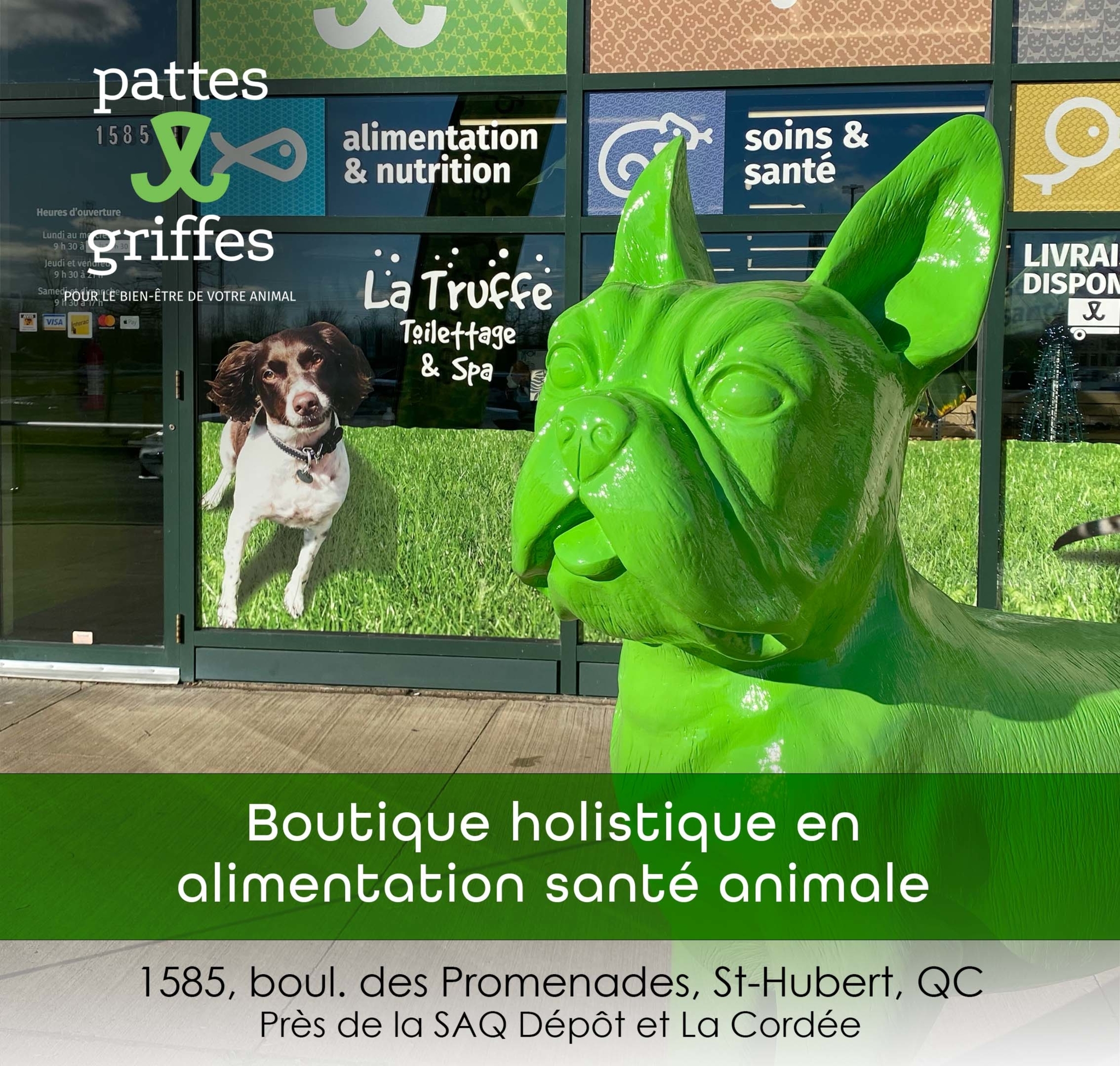 Pattes Et Griffes Saint-Hubert Saint-Hubert (450)812-8812