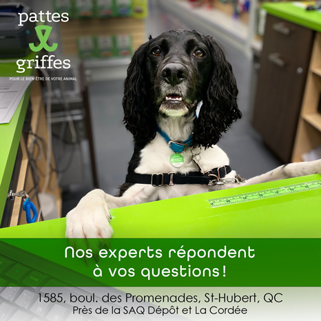 Pattes Et Griffes Saint-Hubert Saint-Hubert (450)812-8812