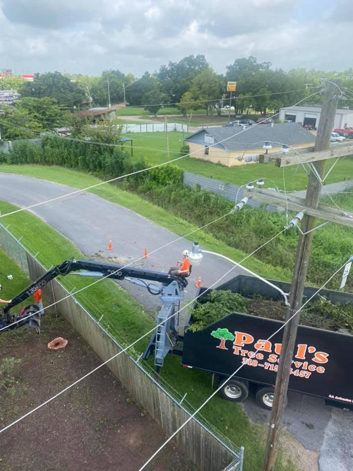 Paul's Tree Service - Deville, LA