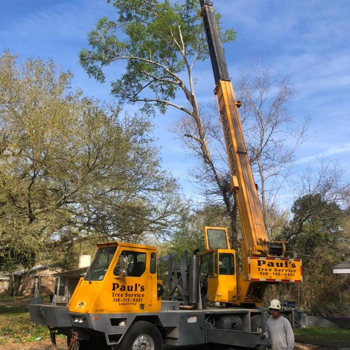 Paul's Tree Service - Deville, LA