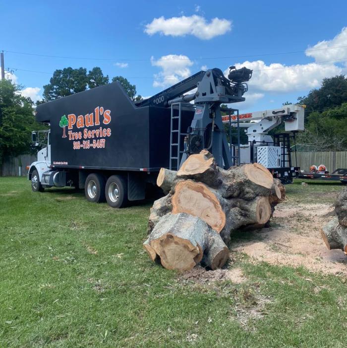 Paul's Tree Service - Deville, LA