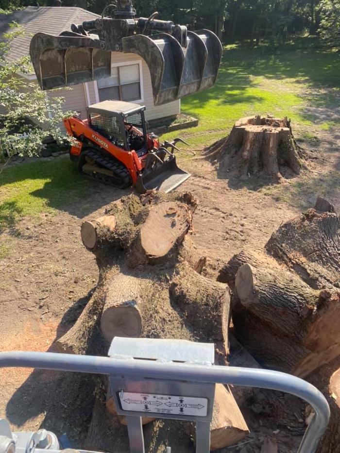 Paul's Tree Service - Deville, LA