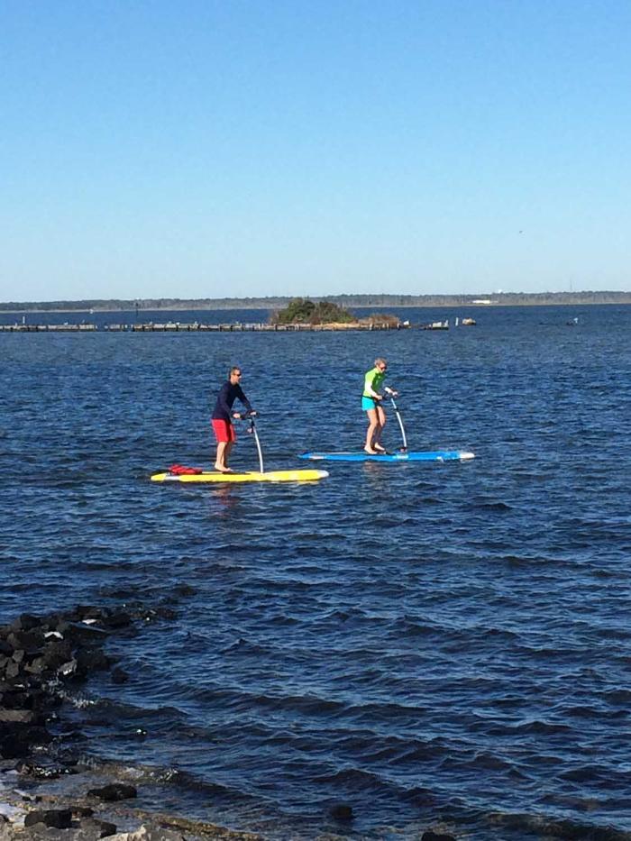 Harvey Cedars Marina - Beach Haven, NJ