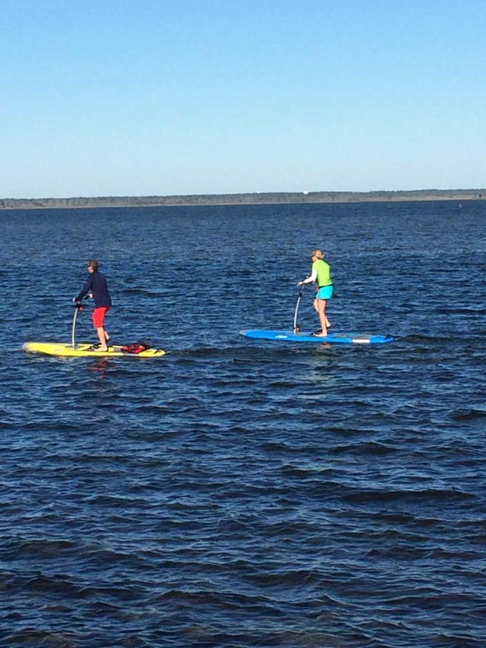 Harvey Cedars Marina - Beach Haven, NJ