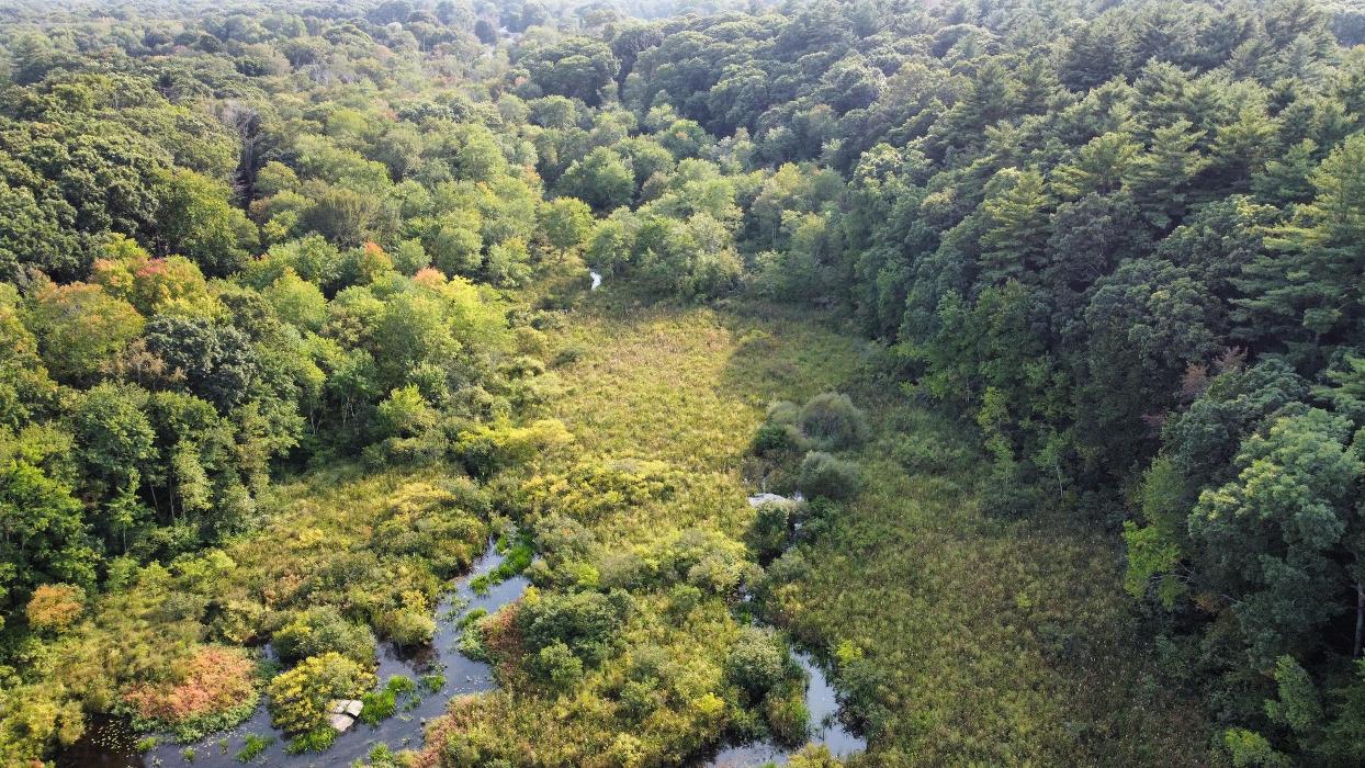 Kahn Landscaping LLC Image