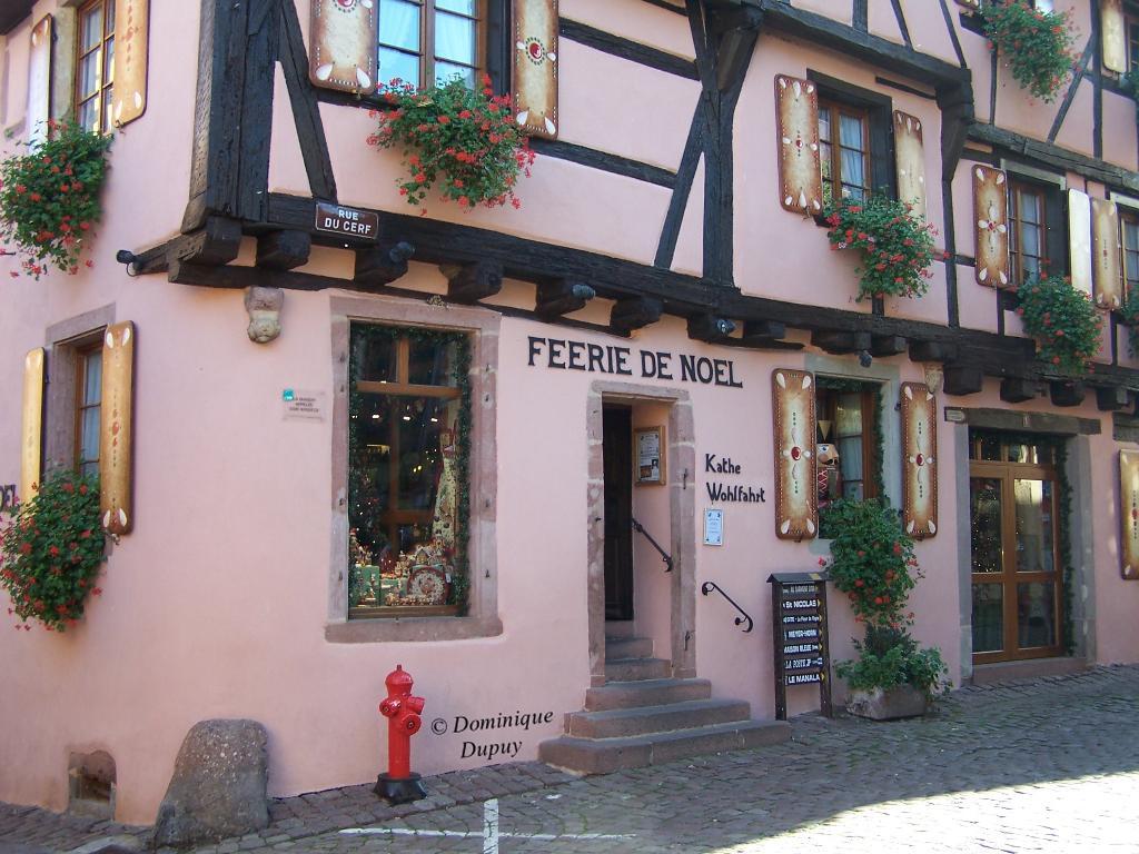 galerie image