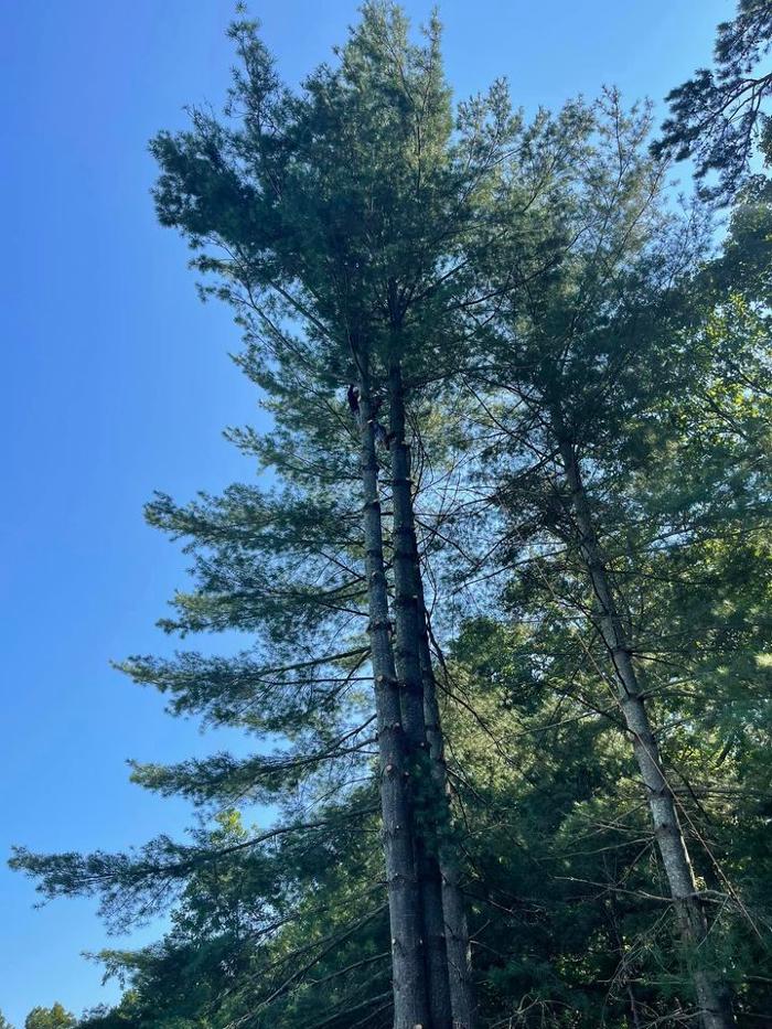 G&G Excavating & Landscaping - Mitchells, VA