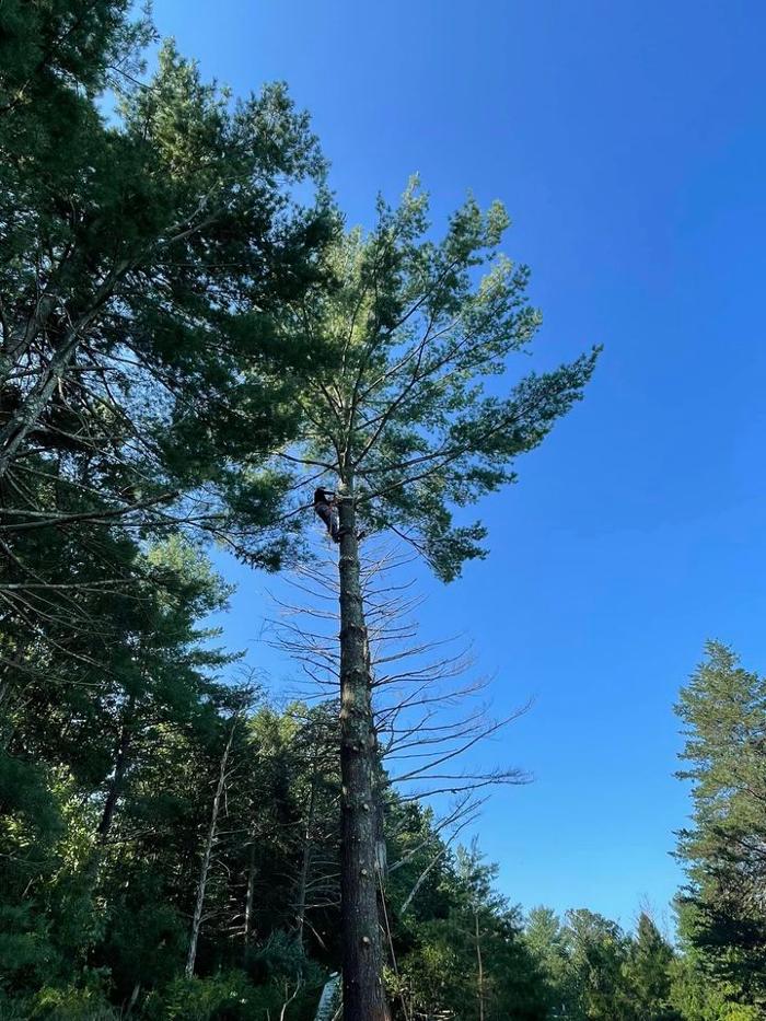 G&G Excavating & Landscaping - Mitchells, VA