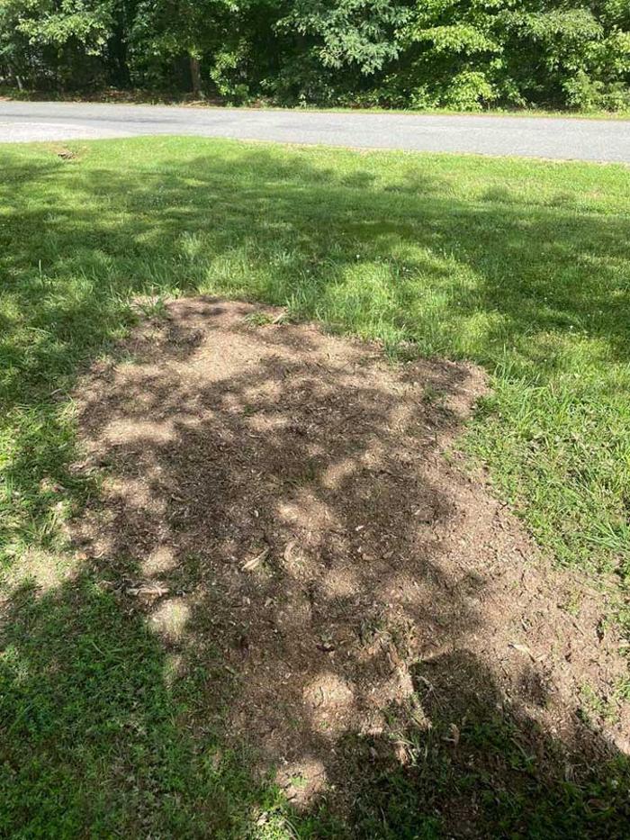 G&G Excavating & Landscaping - Mitchells, VA