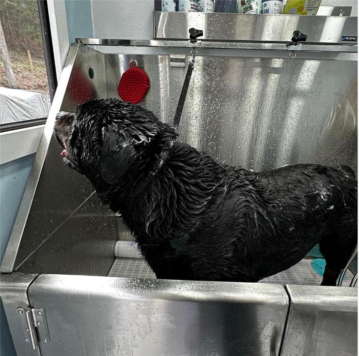 Groom and Go Mobile Pet Salon - Hendersonville, TN