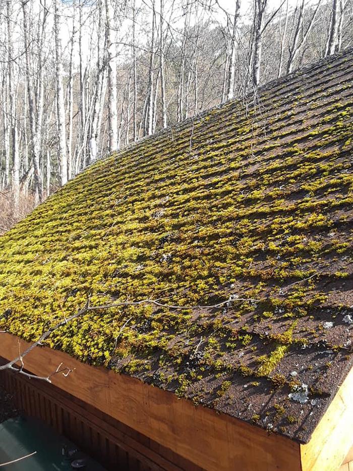 Moss Boss - Anchorage, AK