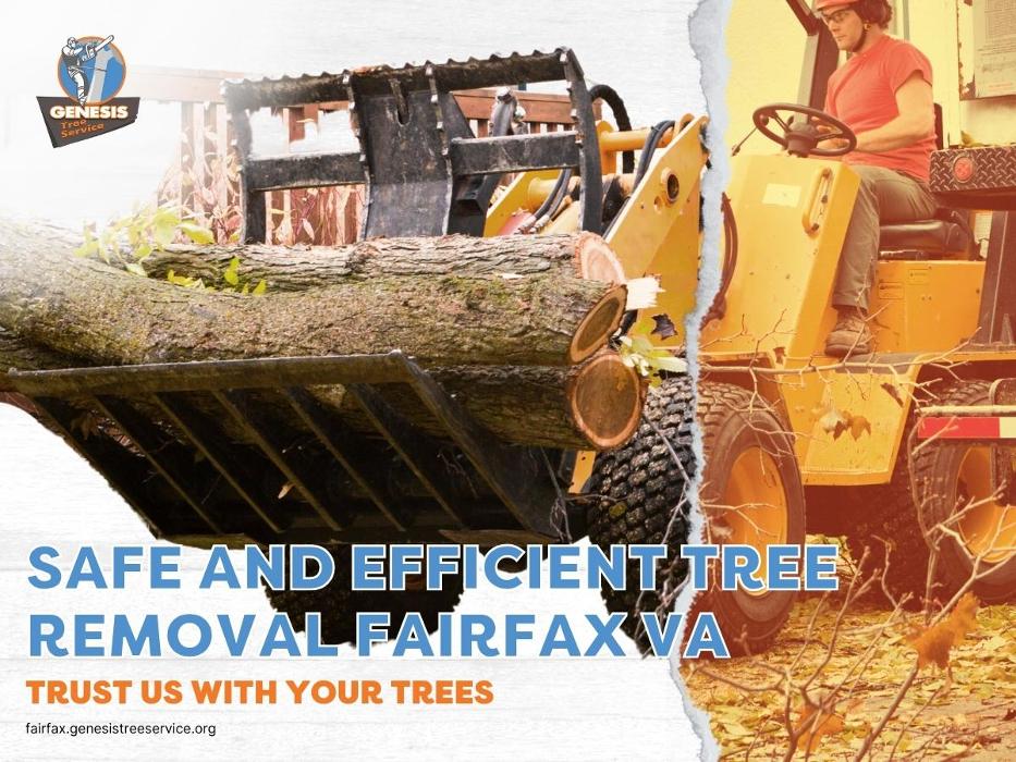 Genesis Tree Service - Fairfax, VA