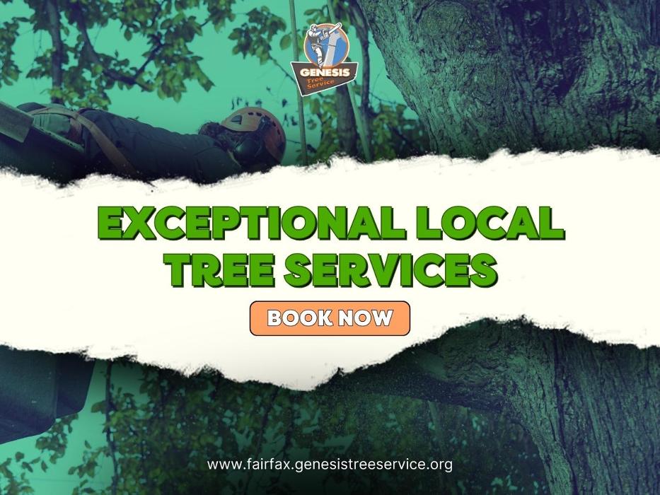 Genesis Tree Service - Fairfax, VA