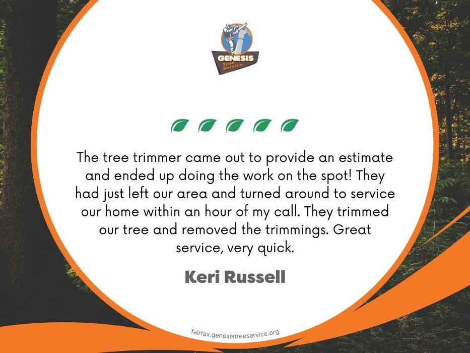 Genesis Tree Service - Fairfax, VA