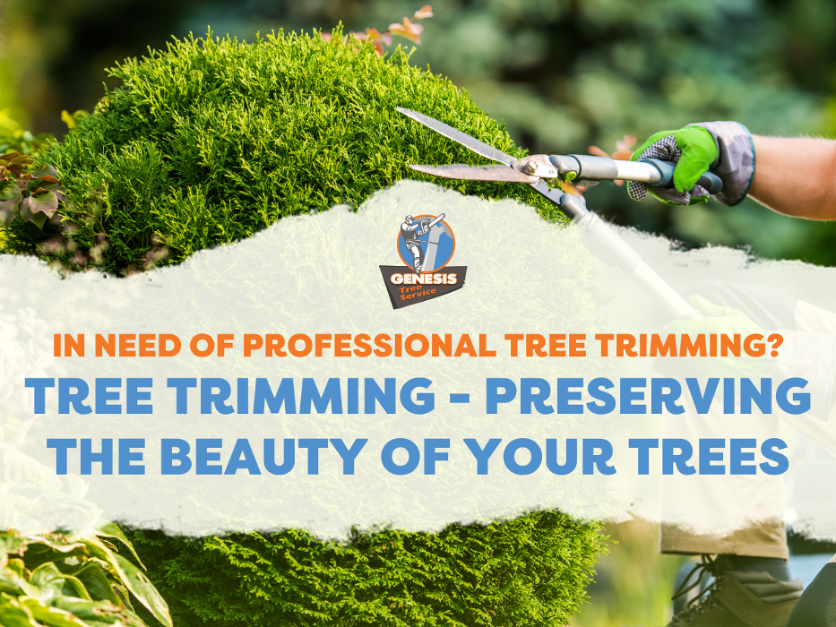 Genesis Tree Service - Fairfax, VA