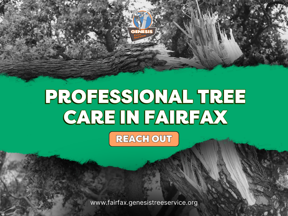 Genesis Tree Service - Fairfax, VA