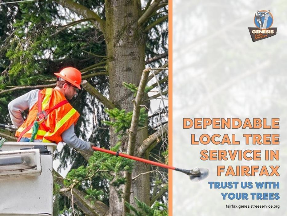 Genesis Tree Service - Fairfax, VA