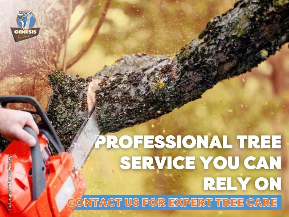Genesis Tree Service - Fairfax, VA