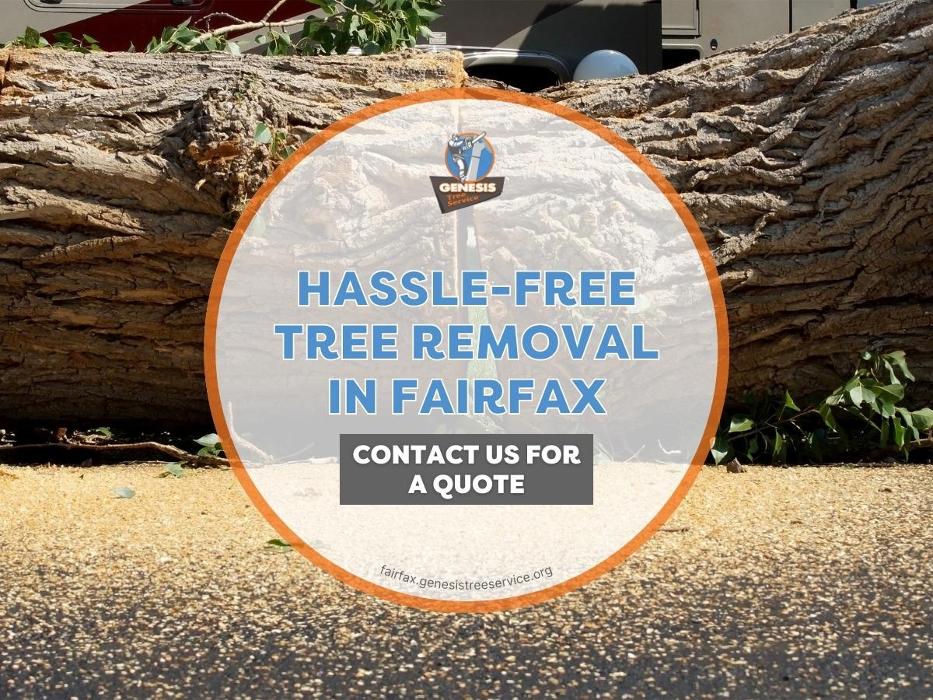 Genesis Tree Service - Fairfax, VA